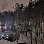 Zlatibor Golden Lux Apartment